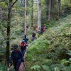 09 b Schluchensteig Etappe 4 - 6